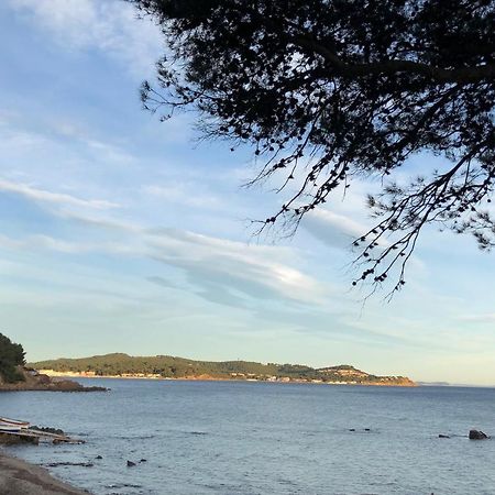 Studio St-Mandrier 300M Mer Saint-Mandrier-sur-Mer Eksteriør billede
