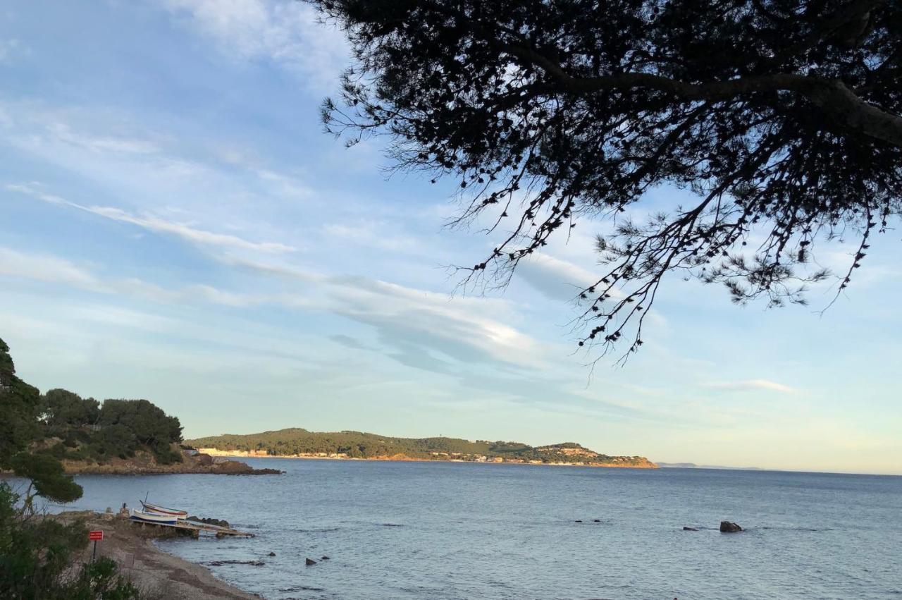 Studio St-Mandrier 300M Mer Saint-Mandrier-sur-Mer Eksteriør billede